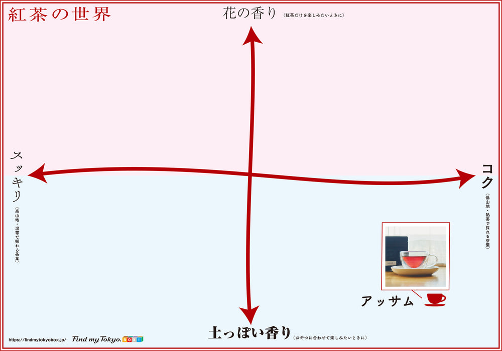 【紅茶入門BOX】アッサム
