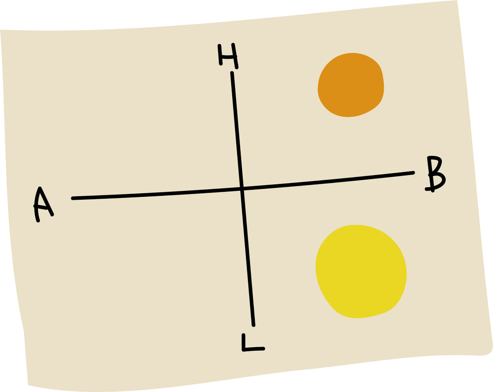 東京チーズ深掘りBOX （右半分ゾーン）
