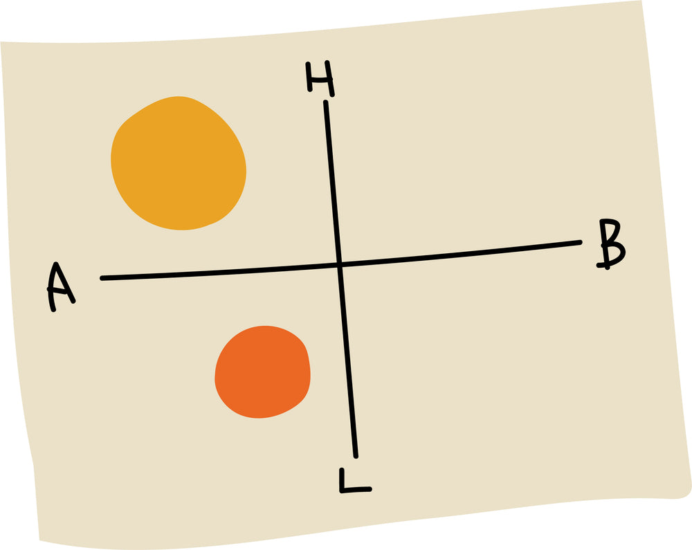 東京チーズ深掘りBOX （左半分ゾーン）
