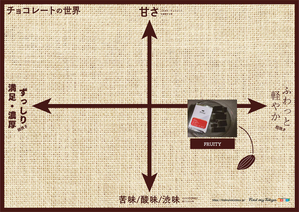 【チョコレート入門BOX】FRUITY