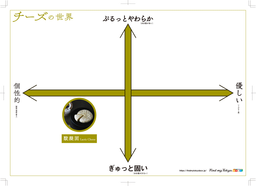 【チーズ入門BOX】酸凝固