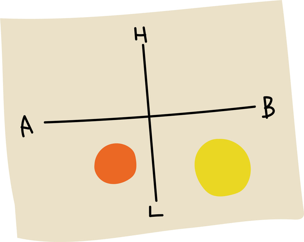 東京チーズ深掘りBOX （下半分ゾーン）