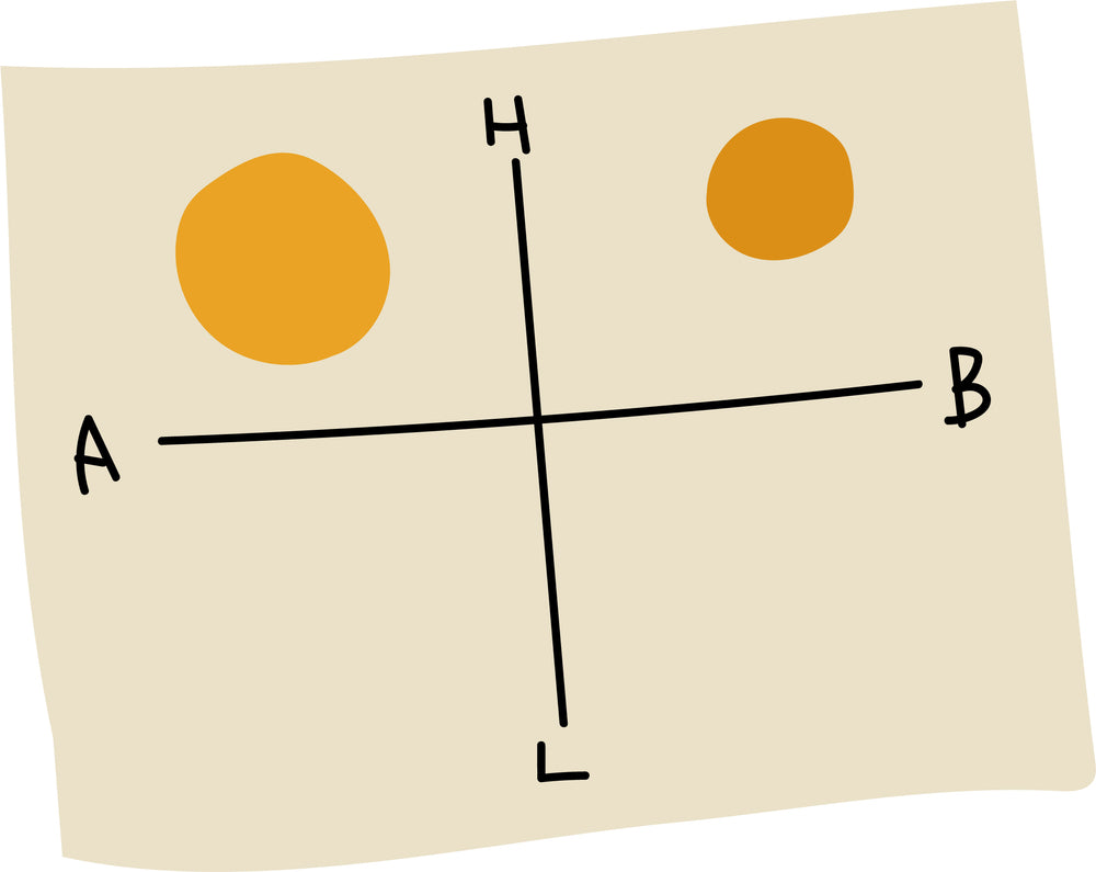 東京チーズ深掘りBOX （上半分ゾーン）